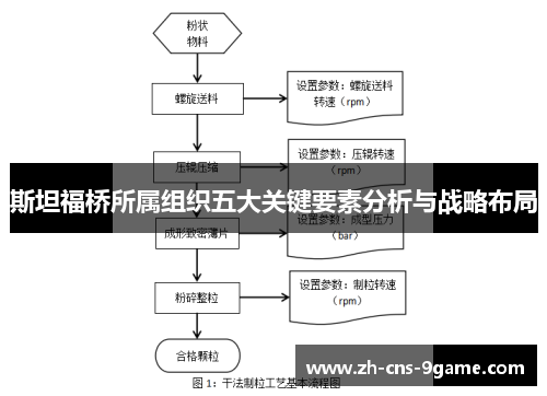 斯坦福桥所属组织五大关键要素分析与战略布局