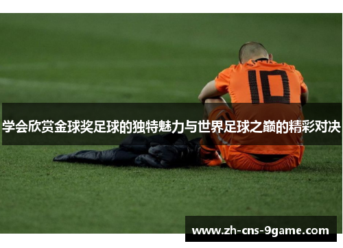 学会欣赏金球奖足球的独特魅力与世界足球之巅的精彩对决