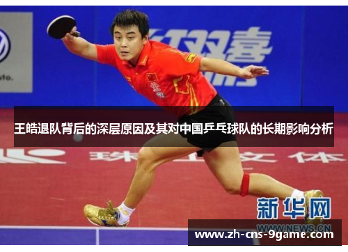 王皓退队背后的深层原因及其对中国乒乓球队的长期影响分析 王皓退队背后的深层原因及其对中国乒乓球队的长期影响分析